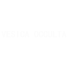 VESICA OCCULTA LTD